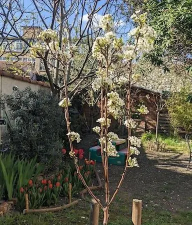 Apartment Garden At The Gates Of Paris Alfortville